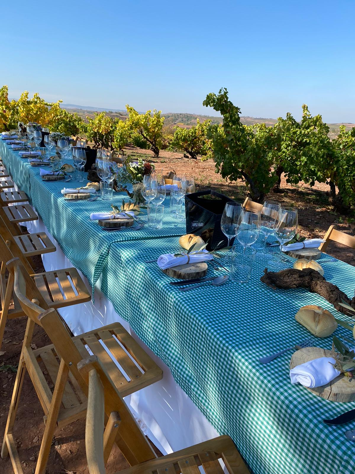 La experiencia enoturística en La Rioja: más allá del vino, una combinación de territorio, cultura y gastronomía